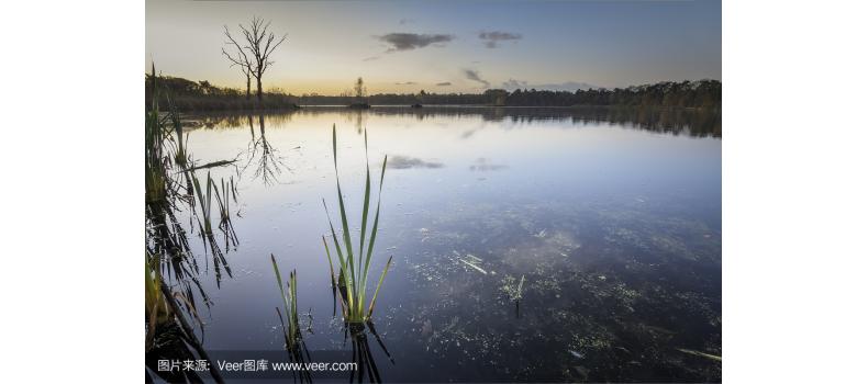 水產(chǎn)養(yǎng)殖過(guò)程中亞硝酸鹽之用藥總結(jié)